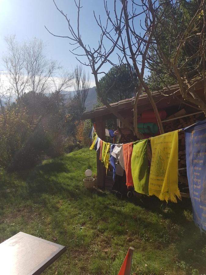 Mandala Apartment Saint-Affrique Bagian luar foto